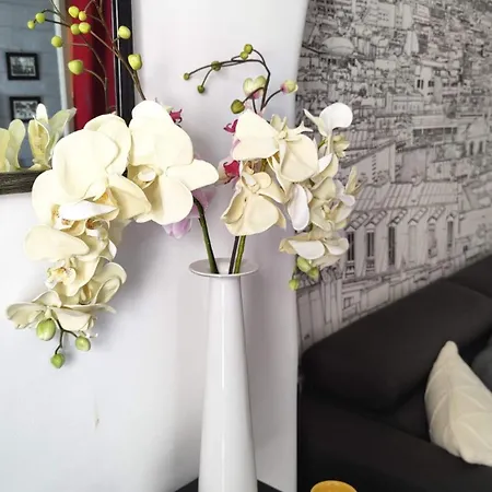 Apartment Moderne Au Calme *